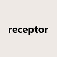 receptor是什么意思