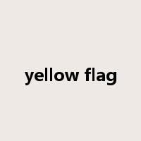 yellow flag是什么意思