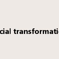 social transformation是什么意思