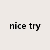 nice try是什么意思