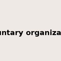 voluntary organization是什么意思