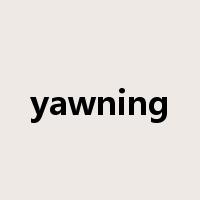 yawning是什么意思