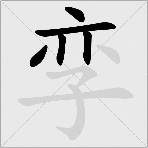 孪