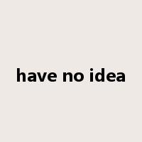 have no idea是什么意思