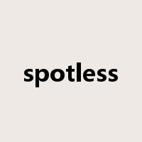 spotless是什么意思