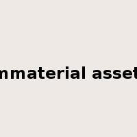 immaterial assets是什么意思
