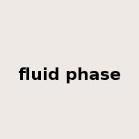 fluid phase是什么意思