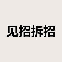 见招拆招是什么意思