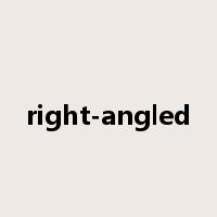 right-angled是什么意思