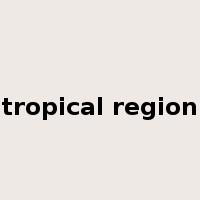 tropical region是什么意思