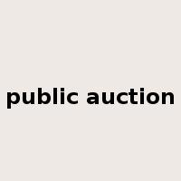 public auction是什么意思