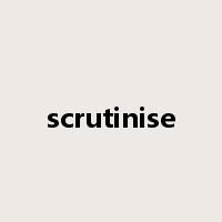 scrutinise是什么意思