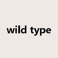 wild type是什么意思