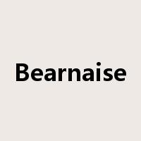 Bearnaise是什么意思