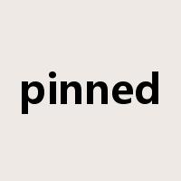 pinned是什么意思