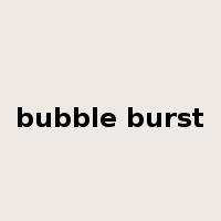 bubble burst是什么意思
