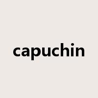 capuchin是什么意思