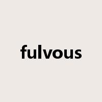 fulvous是什么意思
