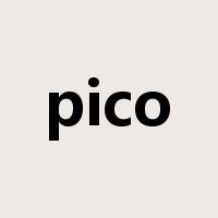 pico是什么意思