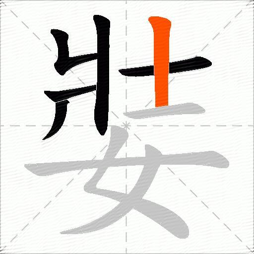 娤