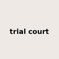 trial court是什么意思