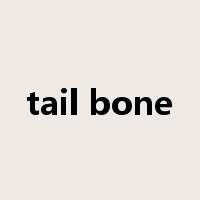 tail bone是什么意思
