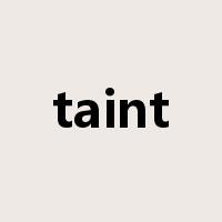 taint是什么意思