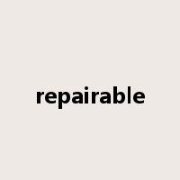repairable是什么意思