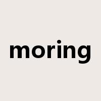 moring是什么意思