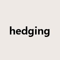 hedging是什么意思