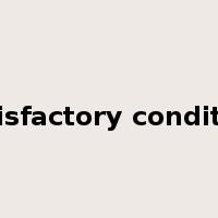 satisfactory condition是什么意思