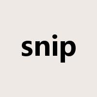 snip是什么意思