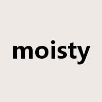 moisty是什么意思