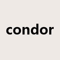 condor是什么意思