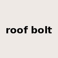roof bolt是什么意思