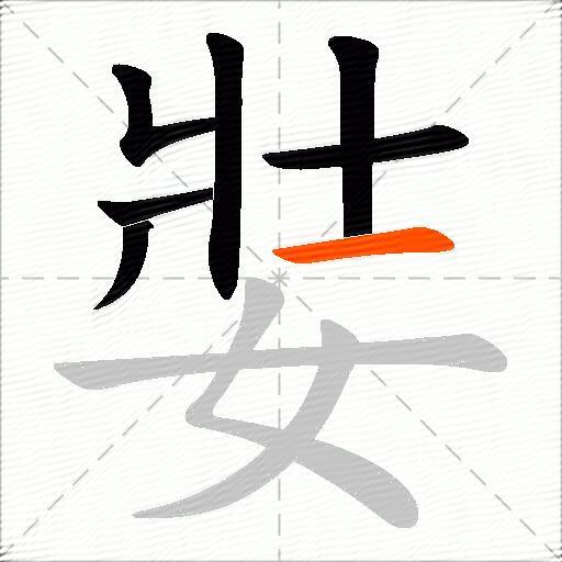 娤
