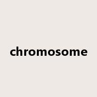 chromosome是什么意思