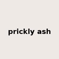 prickly ash是什么意思