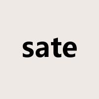 sate是什么意思