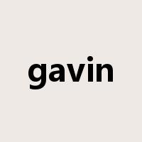gavin是什么意思
