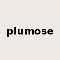 plumose是什么意思