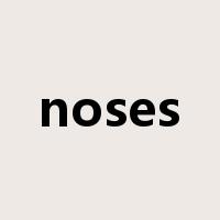 noses是什么意思