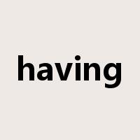 having是什么意思