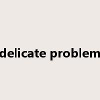 delicate problem是什么意思