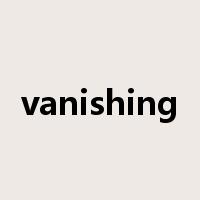 vanishing是什么意思