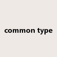 common type是什么意思