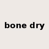bone dry是什么意思