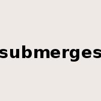 submerges是什么意思