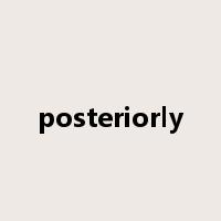 posteriorly是什么意思