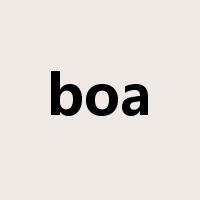 boa是什么意思